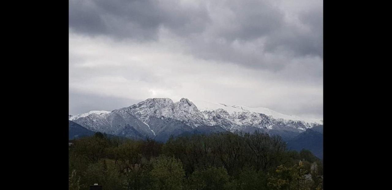 Apartamenty Magiczny Kacik Poronin Dış mekan fotoğraf
