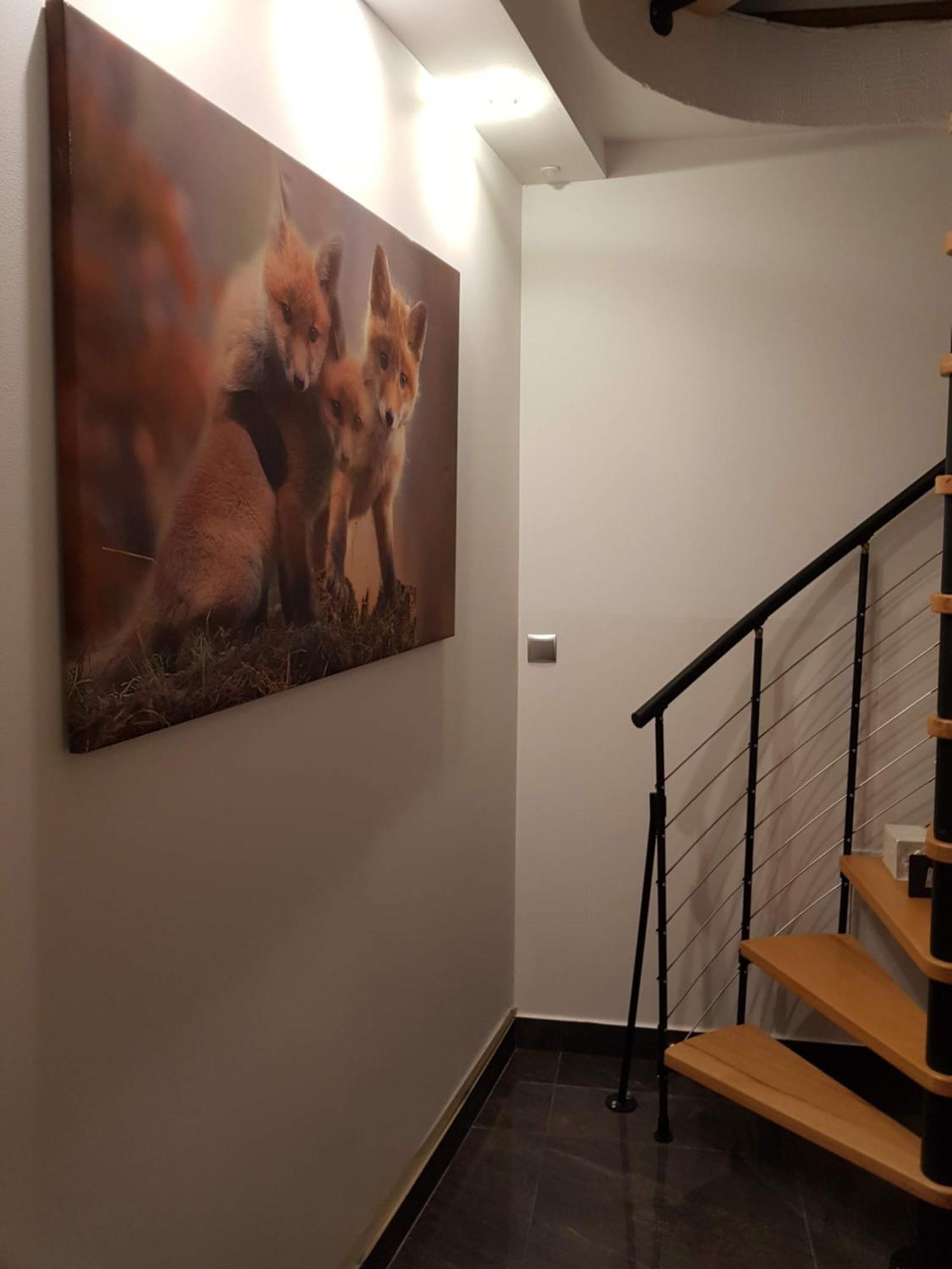 Apartamenty Magiczny Kacik Poronin Dış mekan fotoğraf