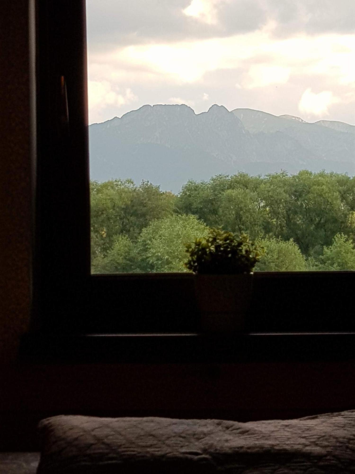 Apartamenty Magiczny Kacik Poronin Dış mekan fotoğraf